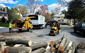 How Our Tree Care Process Works  in  Monticello, MN